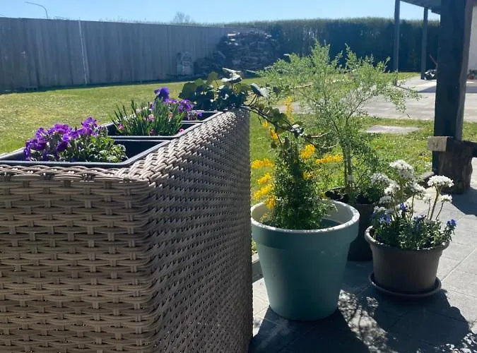 아파트 Blanc Cocooning